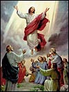 The Ascension of Our Lord